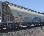SCYX 894919